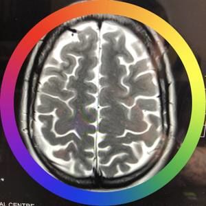 Meet your Posher, Kristin